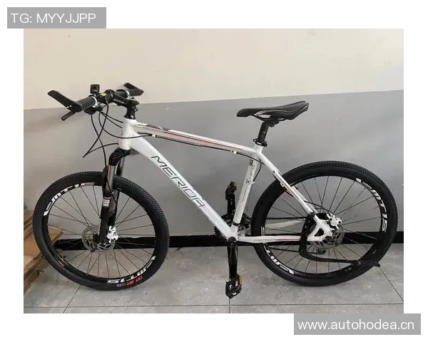 探索美利达挑战者600的骑行魅力与性能优势，开启你的骑行新体验